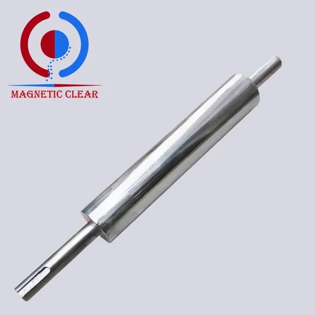 बेल्ट मैग्नेट