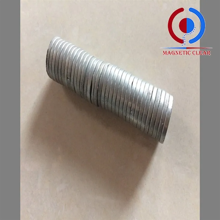 दुर्लभ पृथ्वी नियोडिमियम मैग्नेट